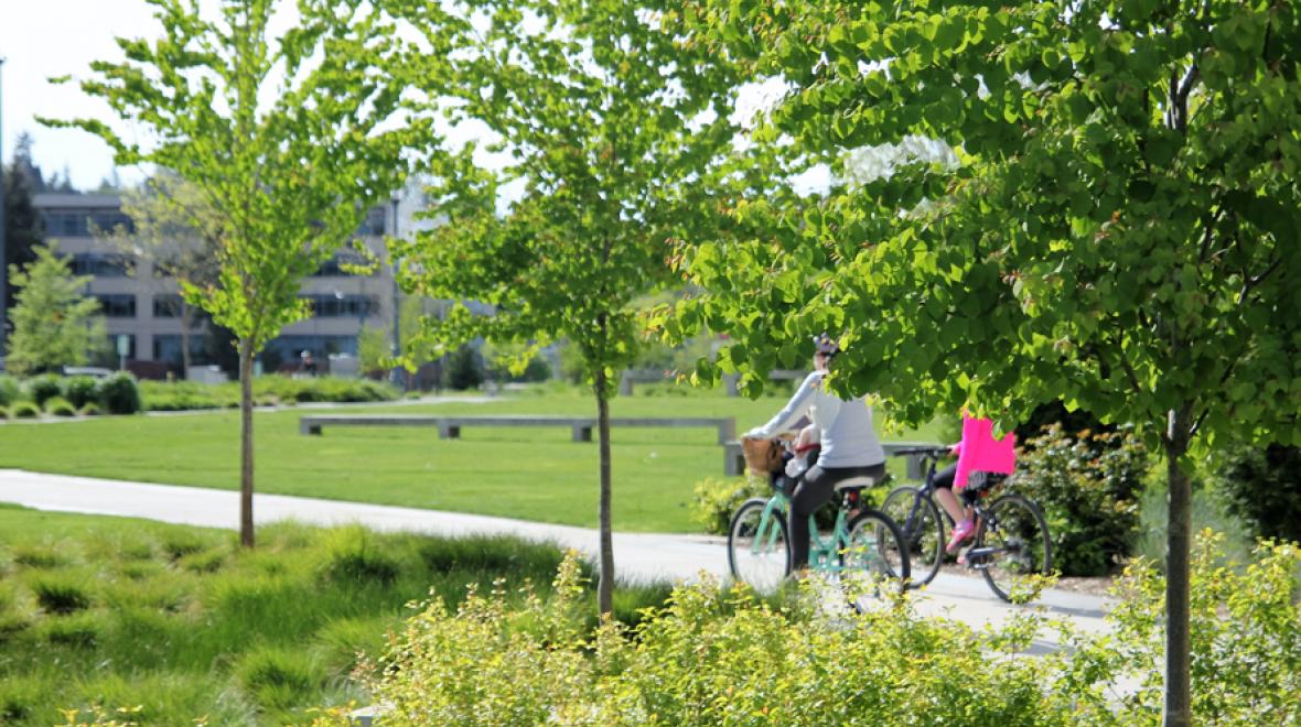 Trees line the path of the Redmond Central Connector bike path.