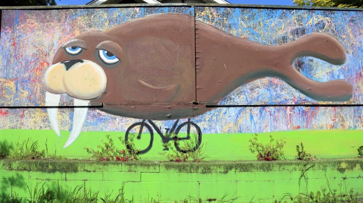 Henry mural of walrus on a bike