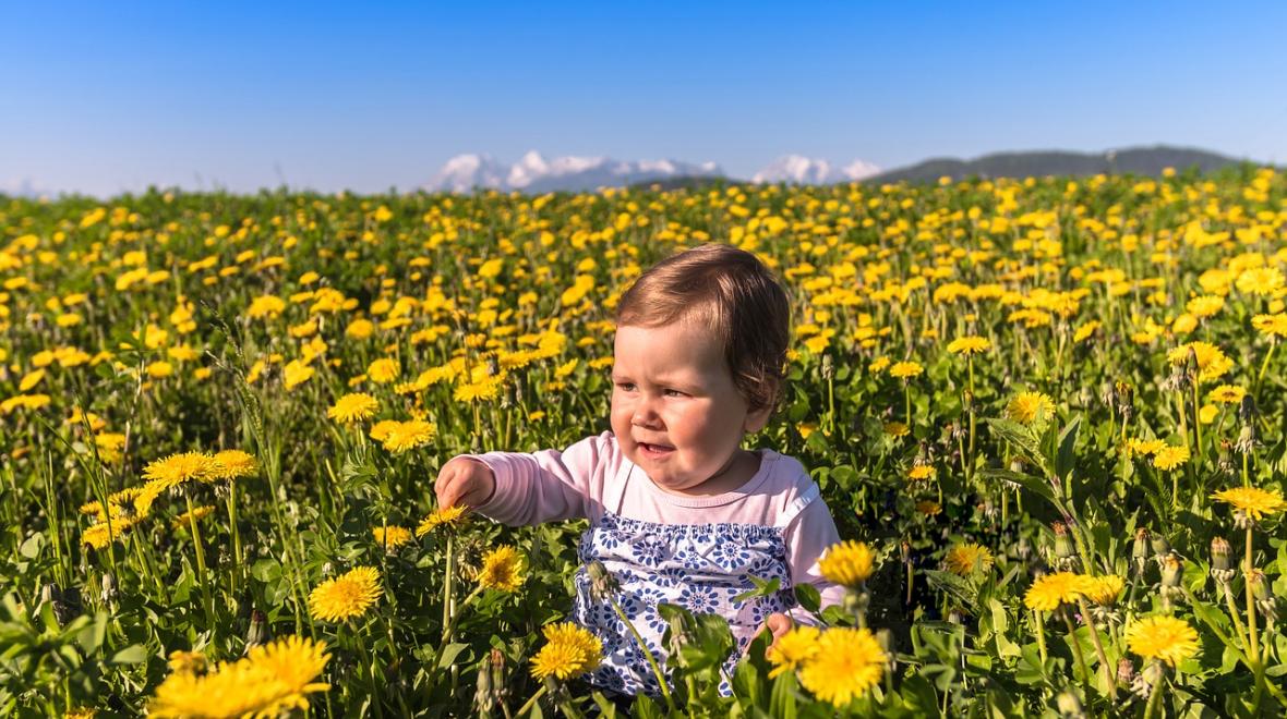 Baby in flower field