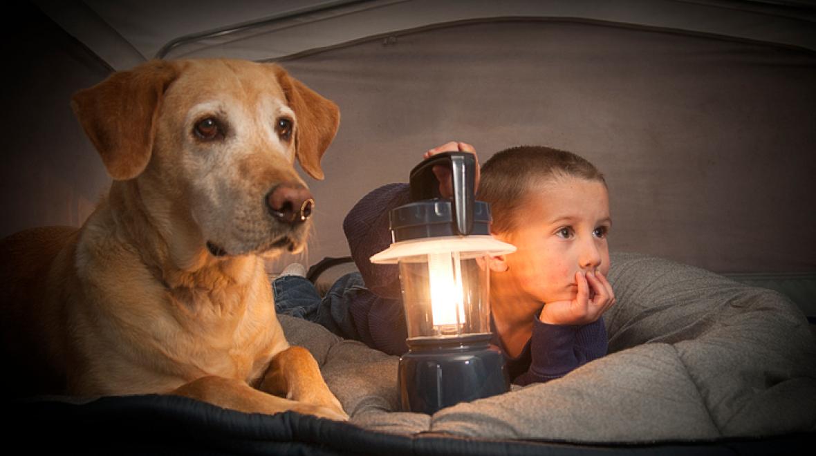 Kid and dog in tent