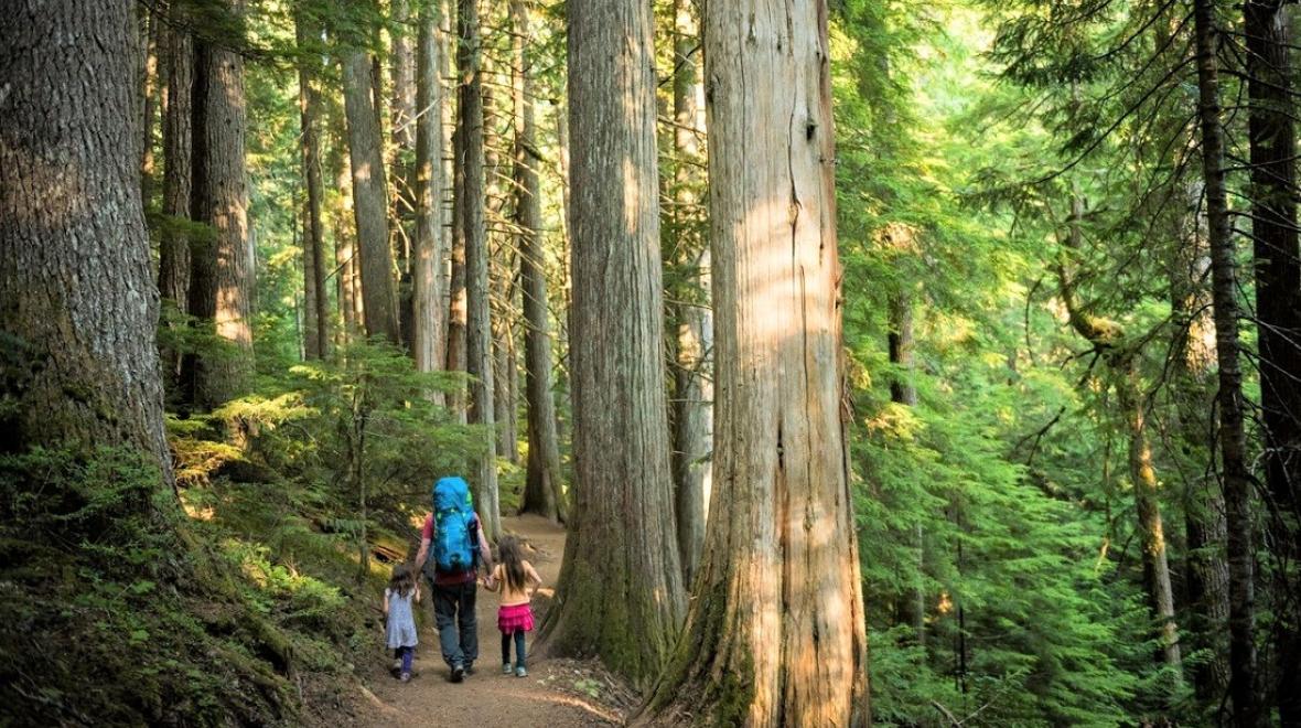 Outdoor Safety Tips for Hiking With Kids | ParentMap