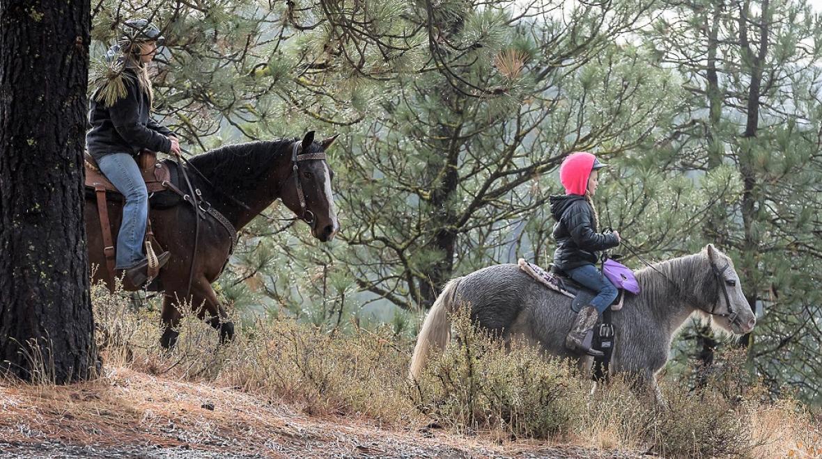 Flying Horseshoe Ranch
