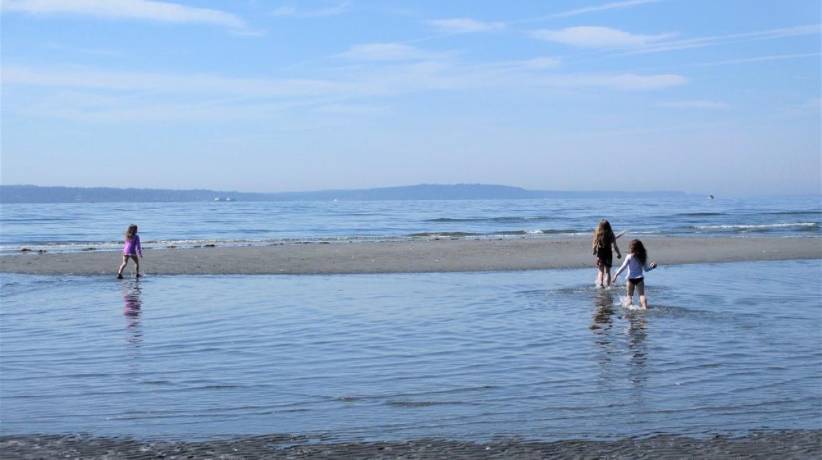 Carkeek Park beach best beaches for families and kids around Seattle