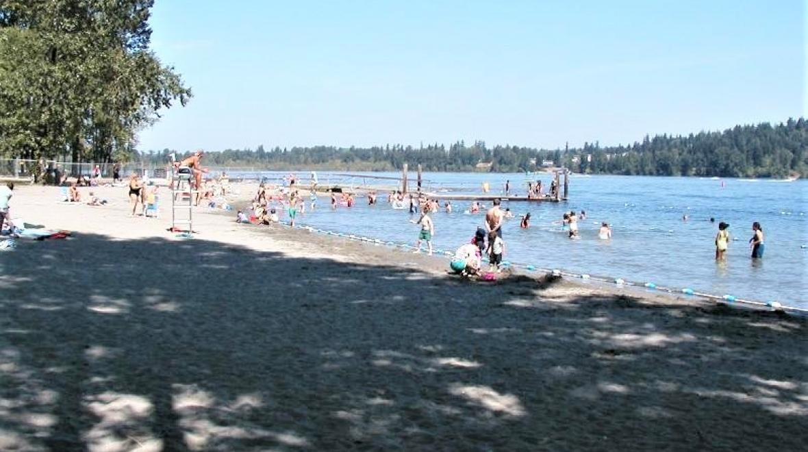 Idylwood Beach Park best beaches for Seattle area families