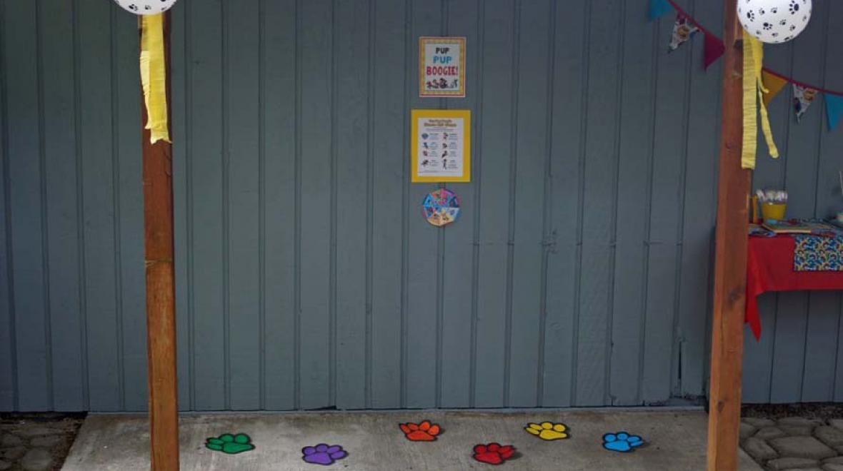 paw patrol party game