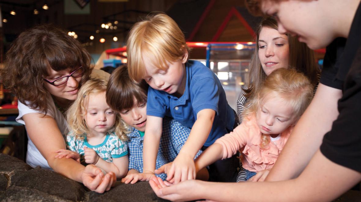 hands on family fun at pacific science center