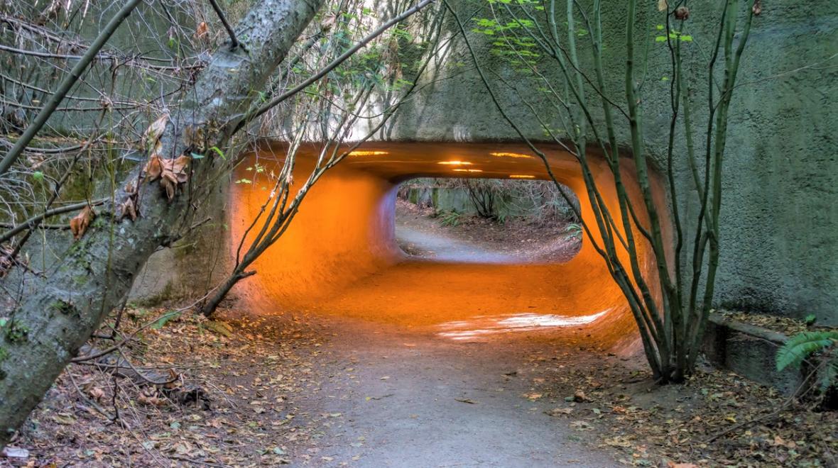 A lighted tunnel at Discovery Park best spring hikes Seattle kids families