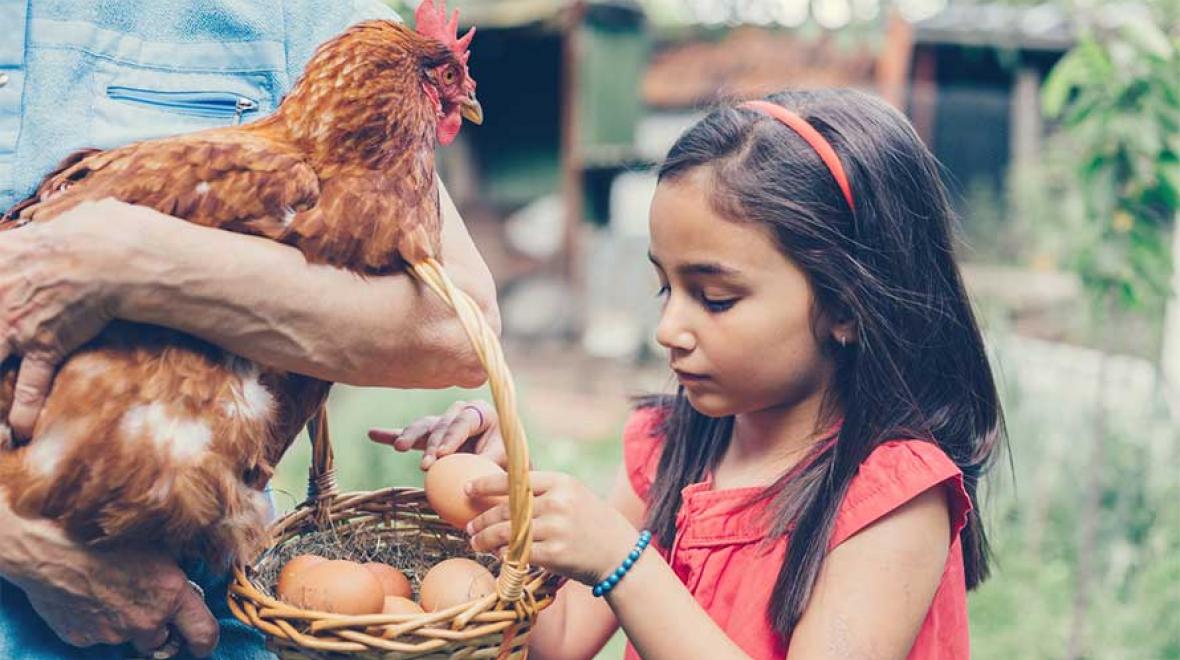 girl with egg basket