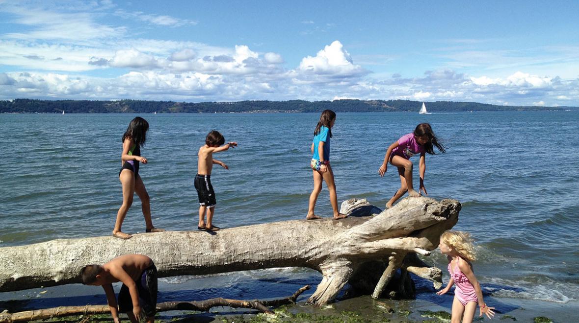 Dash Point State Park is a picnic spot near seattle with an ocean view