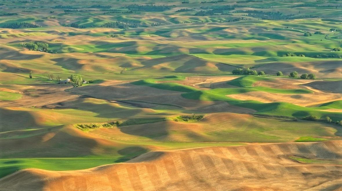 the-palouse-amazing-natural-wonders-sights-to-visit-with-kids