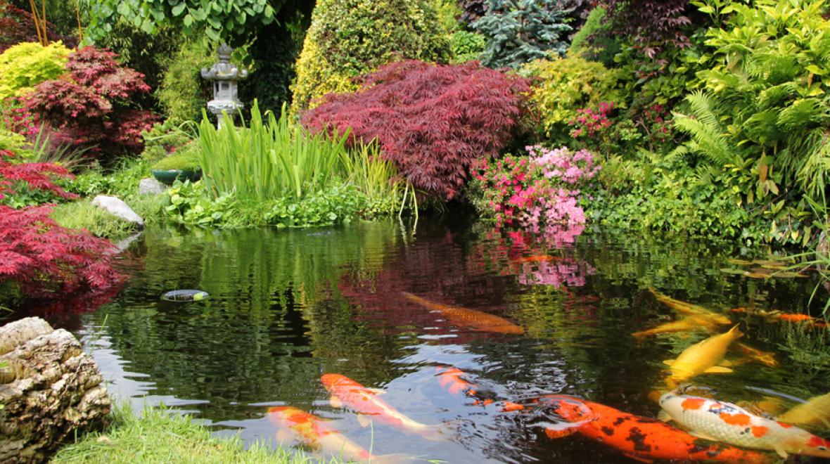 Seattle-Japanese-Garden-best-family-memberships