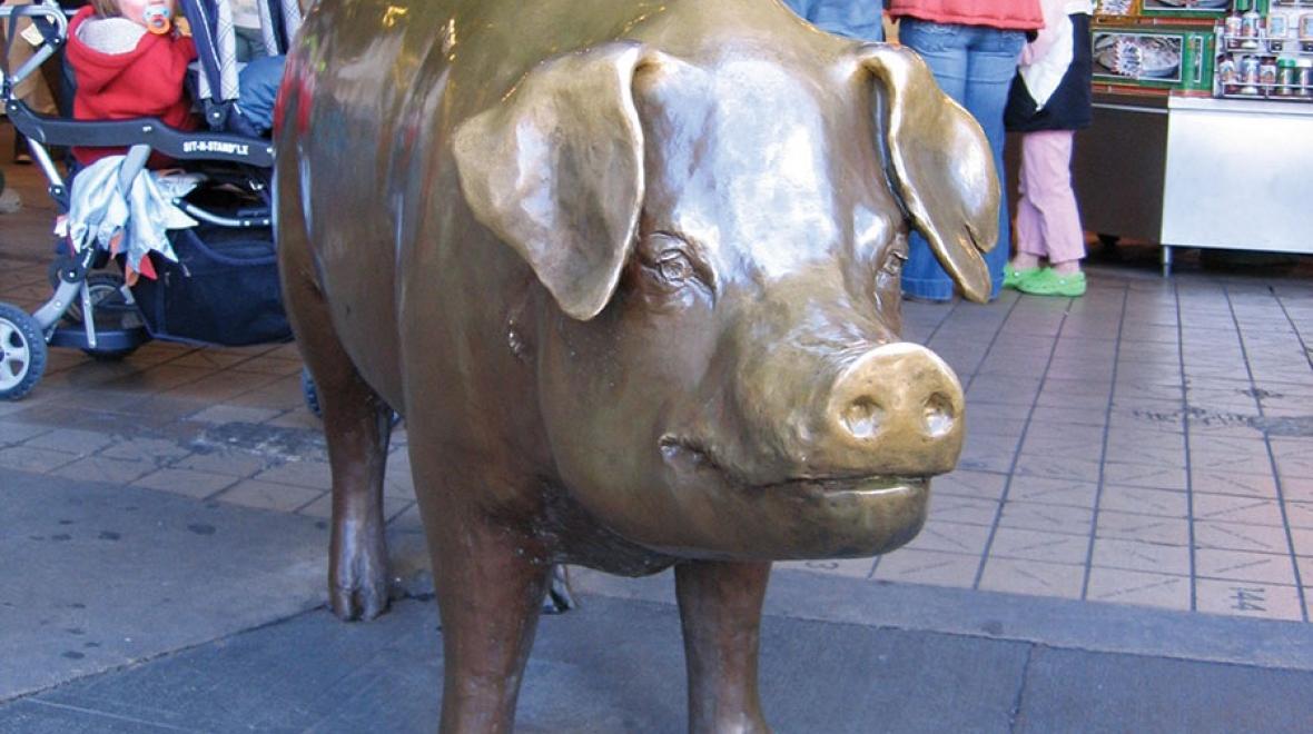 pike place pig
