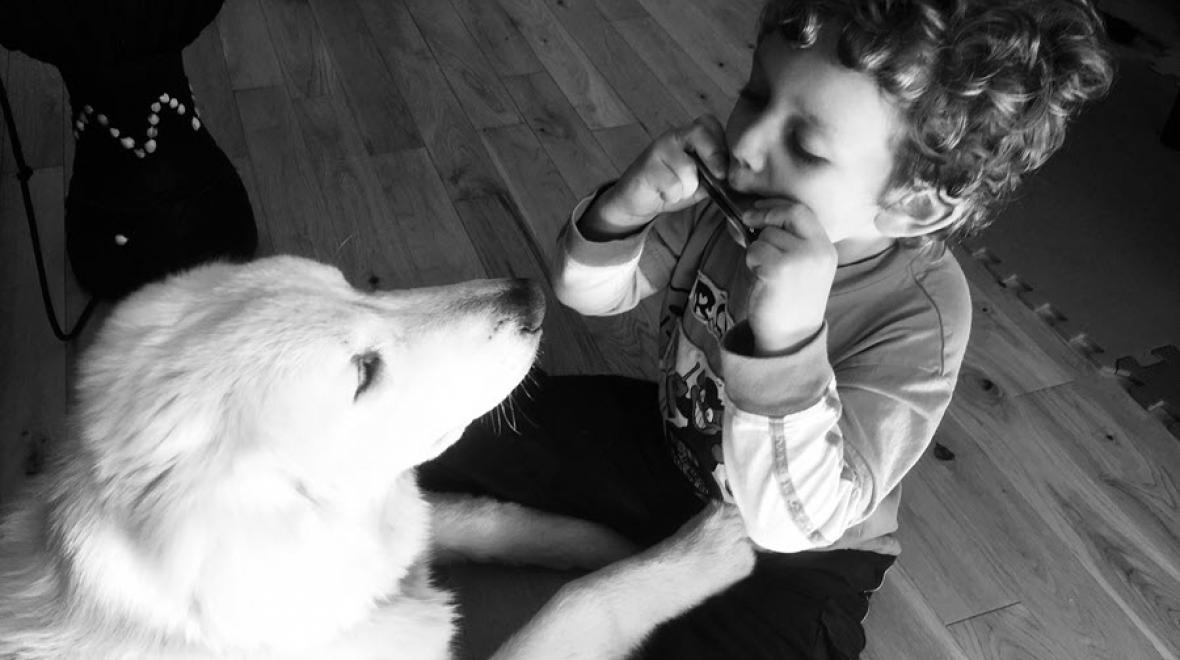 A young boy plays a harmonica for his dog
