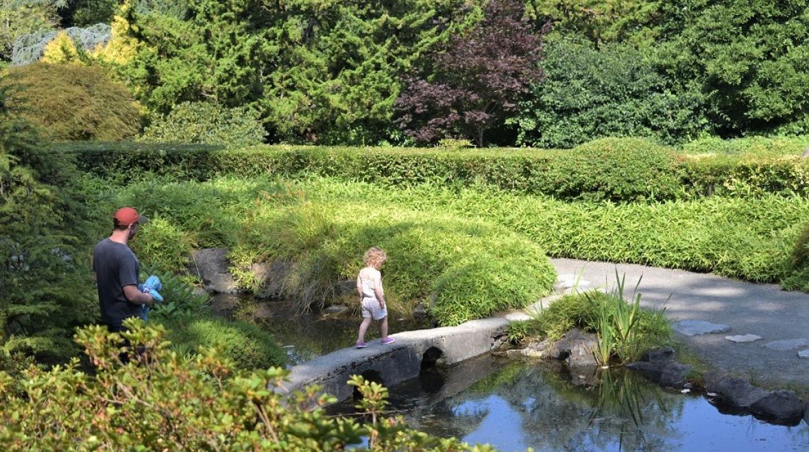 Best-park-nature-kids-south-Seattle-Renton-Kubota-Japanese-garden