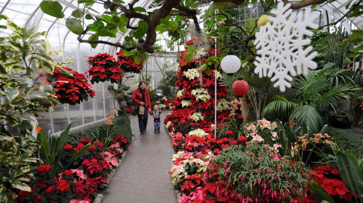 Holiday display at the Conservatory