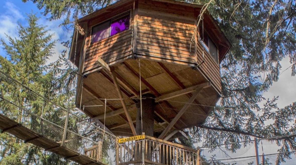 Out'n'About Treehouse Treesort, Cave Junction OR