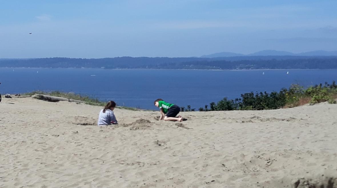 Discovery Park sand dune at the bluff