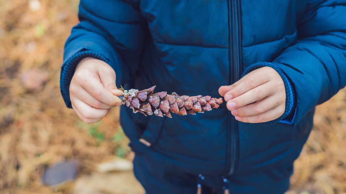 child-holding-pinecone-nature-treasure-hunt-get-outside-to-the-park-around-the-block