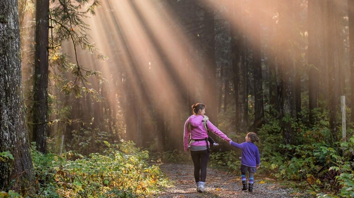 family hiking in the sunlight