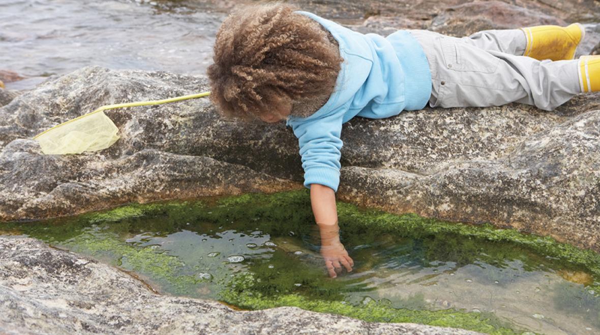 kid reaching into a tidepool why laying on a rock