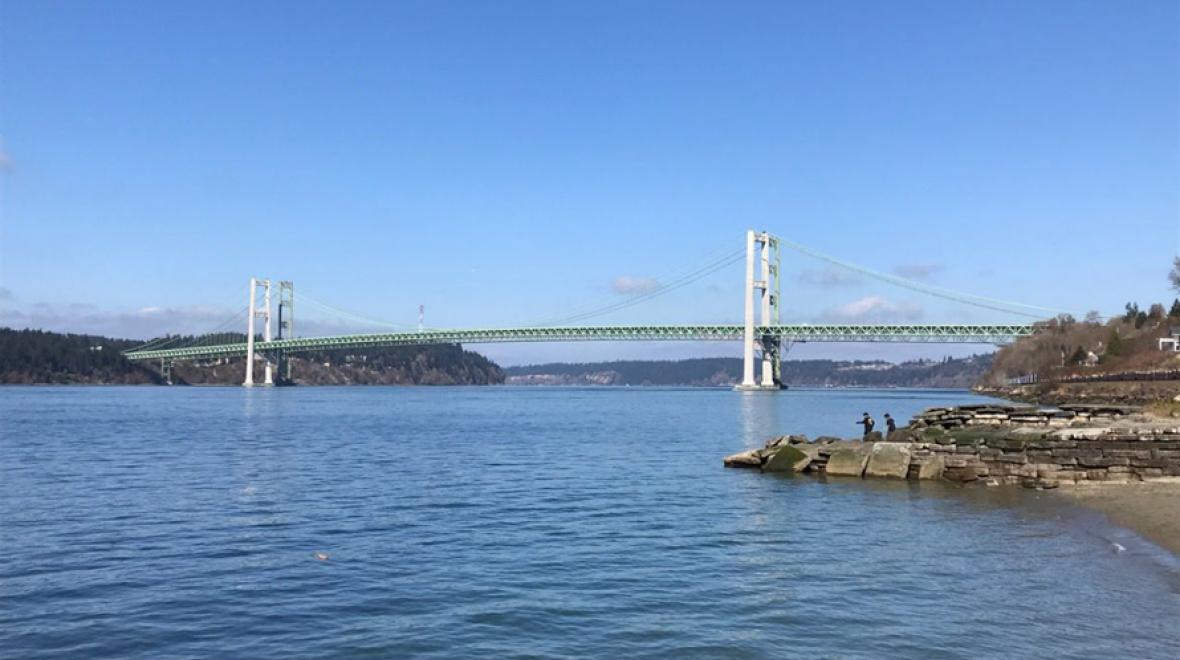 View-of-Tacoma-Narrows-Bridge-Titlow-Park-agents-of-discovery-nature-app-fun-kids-families