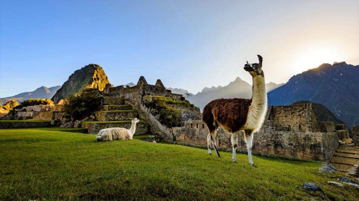 machu picchu peru incas llamas dream destinations