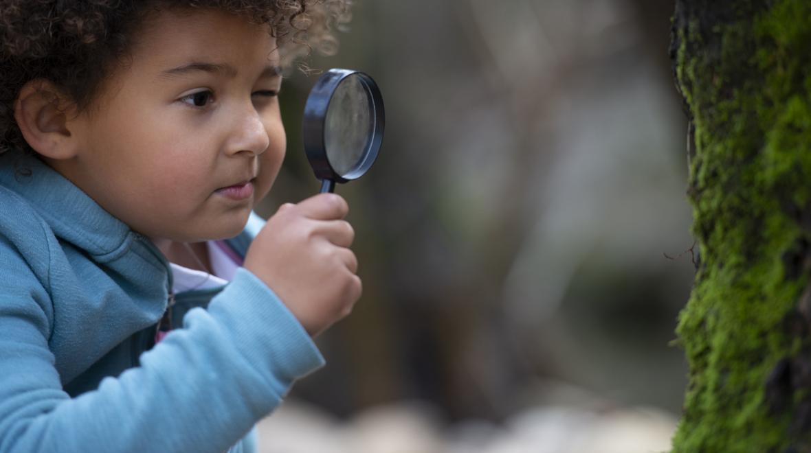 Child inspecting moss on tree with magnifying glass eco learning activities for home