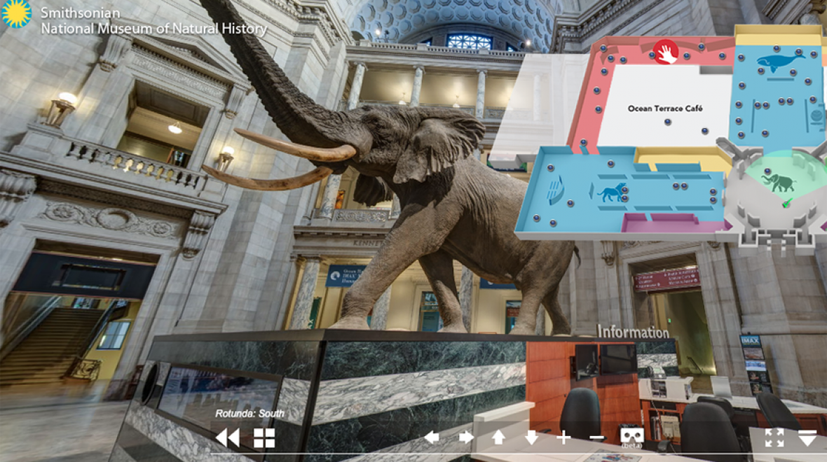 Screenshot of the Smithsonian National Museum of Natural History's virtual program
