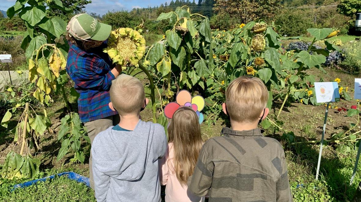 kids learning from farmer at Oxbow Farm in Carnation near Seattle fun family field trip fall 2021
