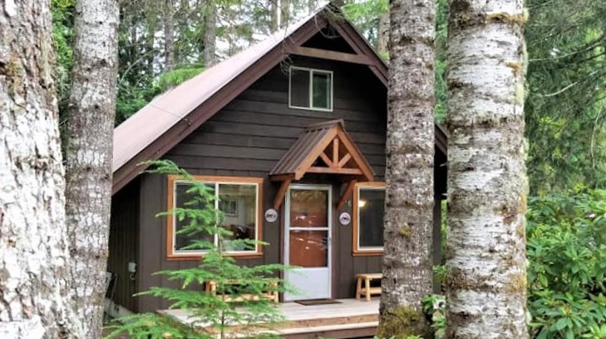 Rainier Cottages cabins in the woods best cabins for Seattle families with kids