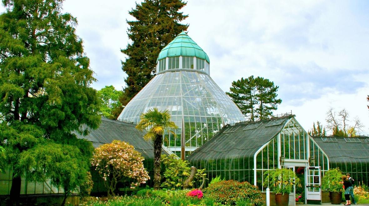 W.W. Seymour Conservatory in Tacoma's Wright Park open for families by appointment Seattle Bellevue Puget Sound