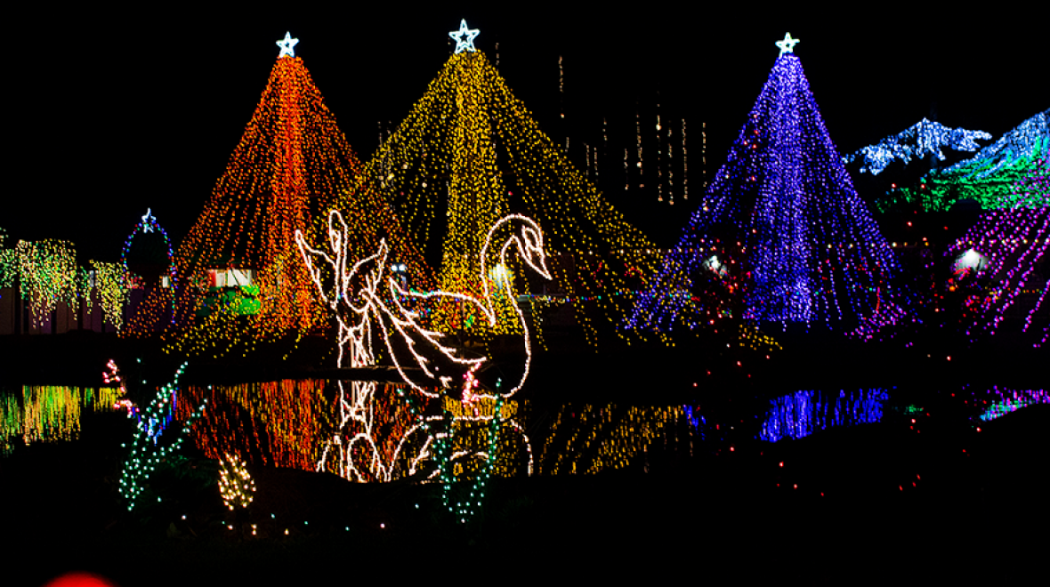 Light display at The Lights of Christmas at Warm Beach Camp in Stanwood, Wash. best holiday light displays Seattle