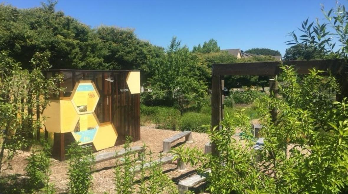 The West Seattle Bee Garden