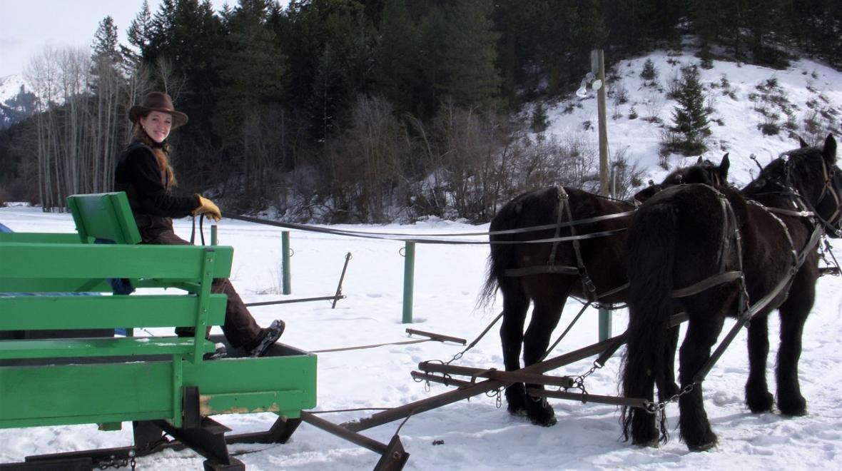 Green horse drawn sleigh ride at the ready Eagle Creek Ranch Leavenworth winter excursions for Seattle area families