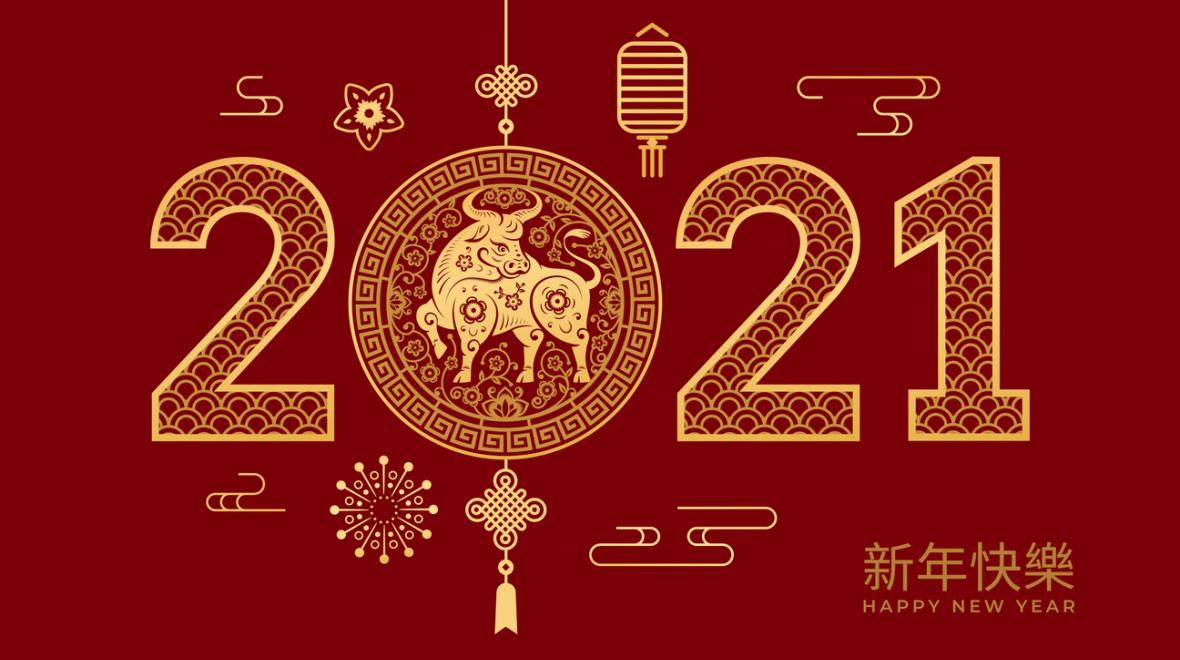 Image result for lunar new year information 2021 kids