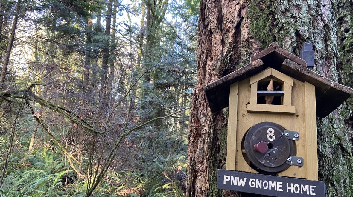 PNW gnome home, a small wooden birdhouse-like structure hung on a tree on a Bainbridge Island trail