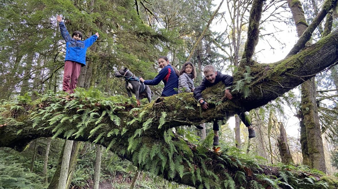 A group of children and a dog perched on a large horizontal log covered with ferns on the fairy dell trail on Bainbridge Island