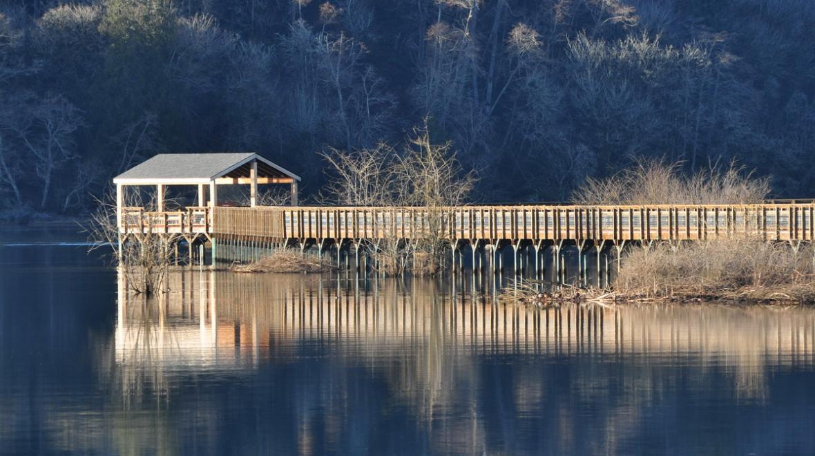billy frank jr nisqually national wildlife refuge birding spots for seattle tacoma families