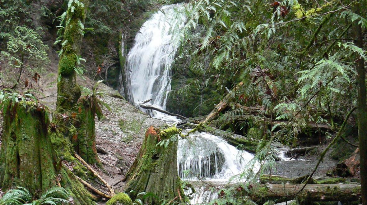 Coal Creek Falls in Bellevue best places to experience stormy rainy windy winter weather with kids near Seattle