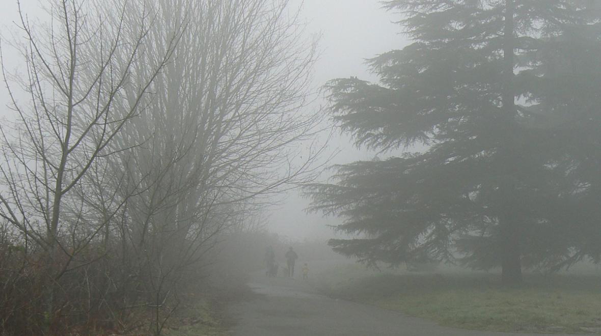 Foggy scene with family walking amid the trees in Seattle's Discovery Park best places to see stormy weather with kids