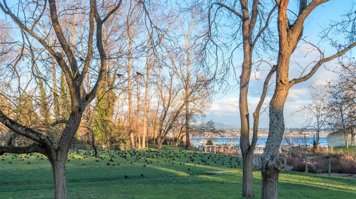 Beer Sheva Park, Rainier Beach