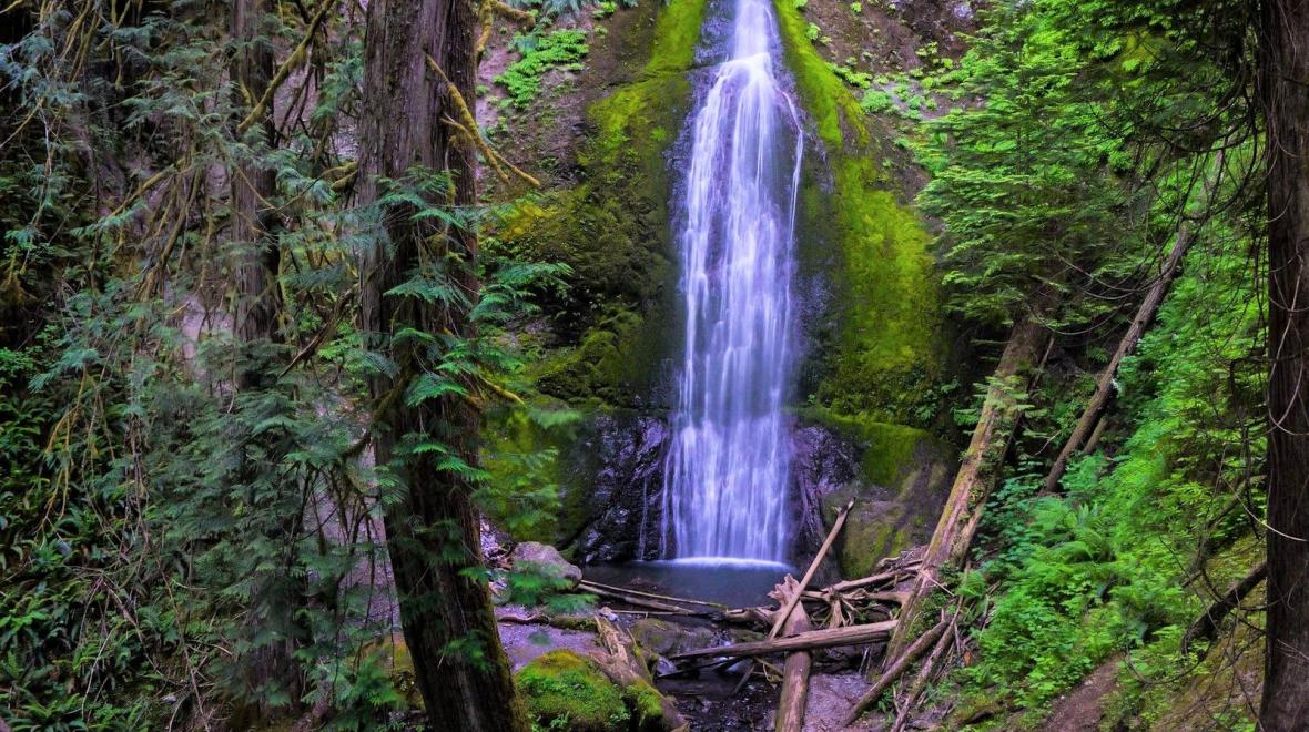 Marymere Falls best waterfall hikes for seattle families and kids