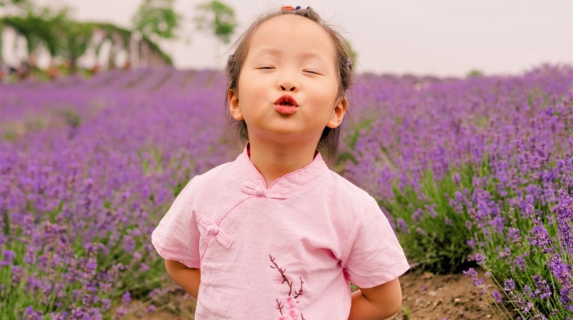 A cute young Asian girl about age 4 wearing a pink shirt poses in front of fields of purple lavender at one of the best lavender farms around Seattle to visit with kids