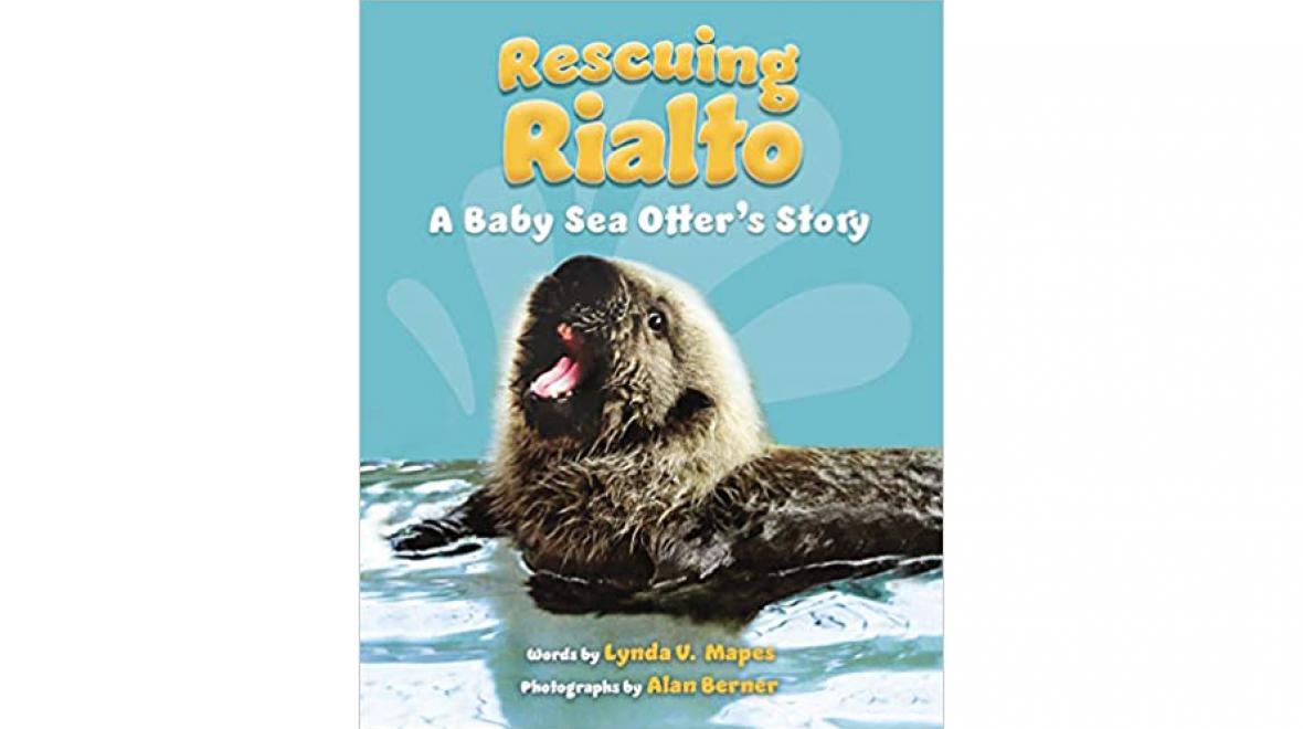book cover for Rescuing Rialto: A Baby Sea Otter’s Story