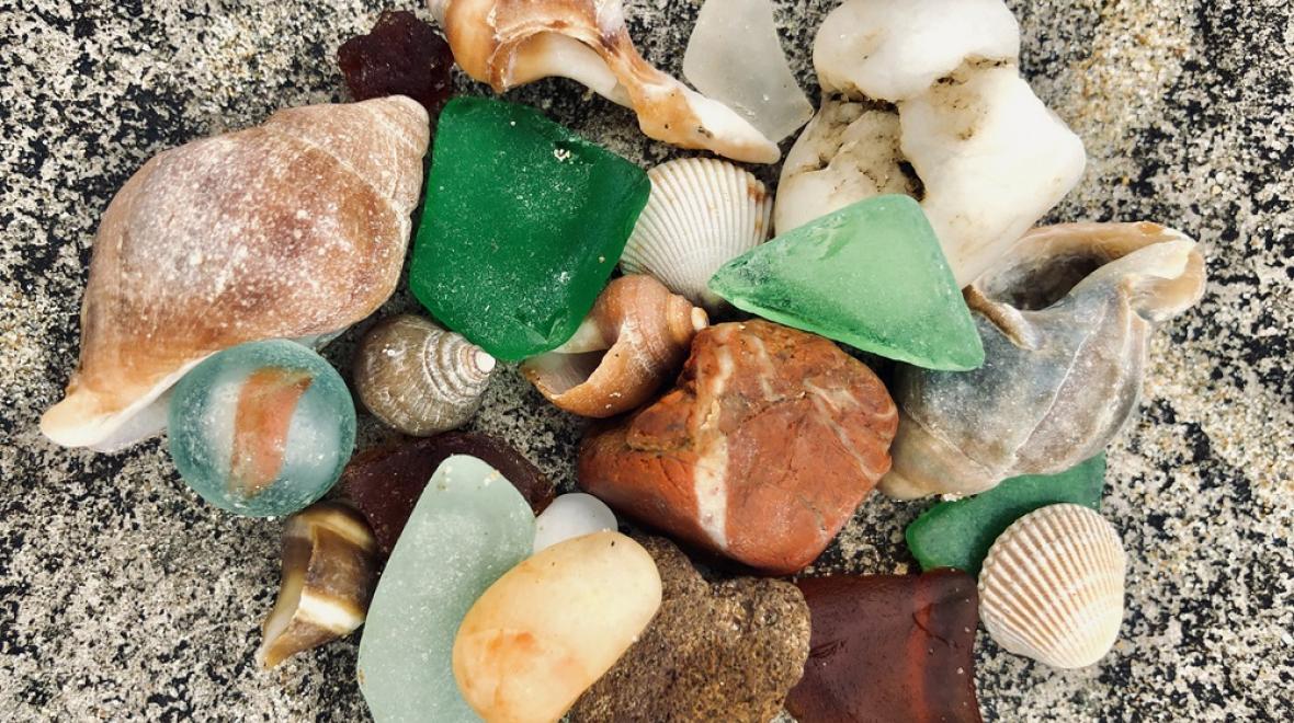 Collection of shells and beach glass gathered in the sand beach treasures to find and collect fun in nature with kids