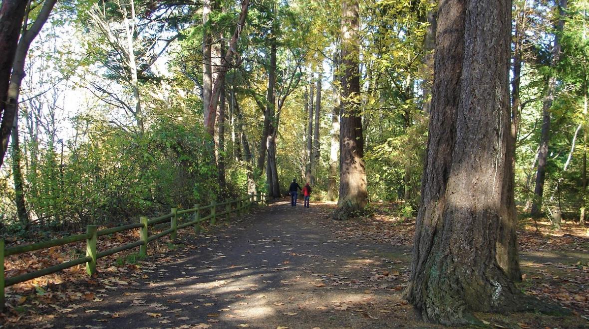 View of hikers on the Bluff Trail at West Seattle's Lincoln Park