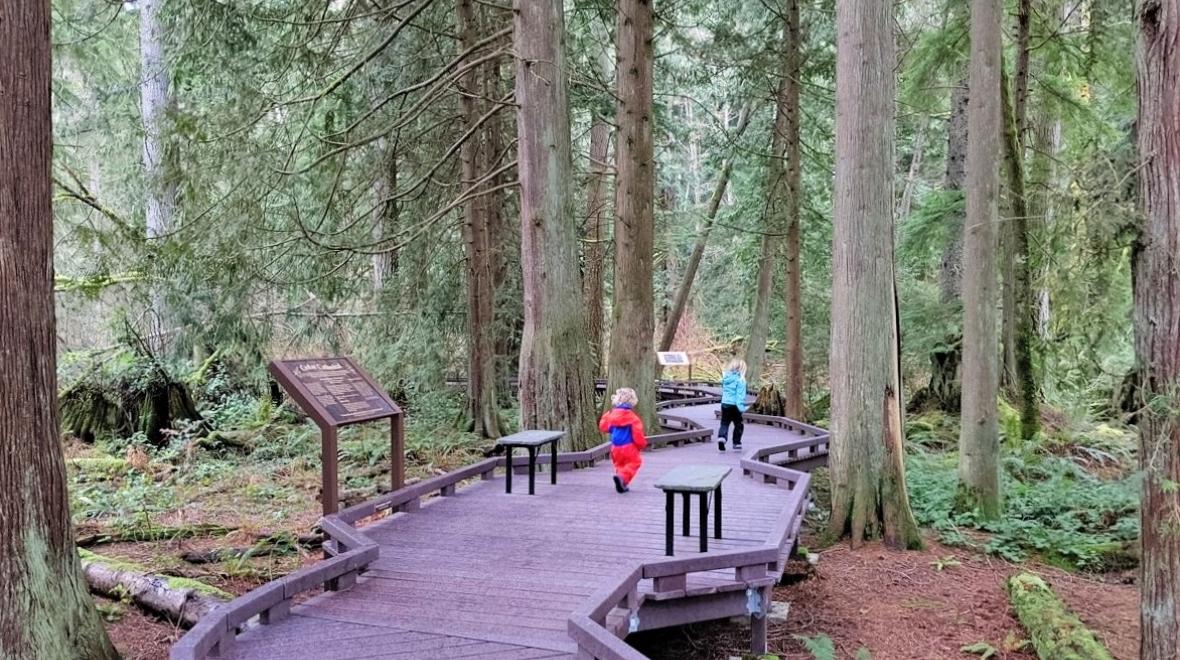 Kids walking on the boardwalk at Northwest Stream Center fun toddler outings while big kids are at school