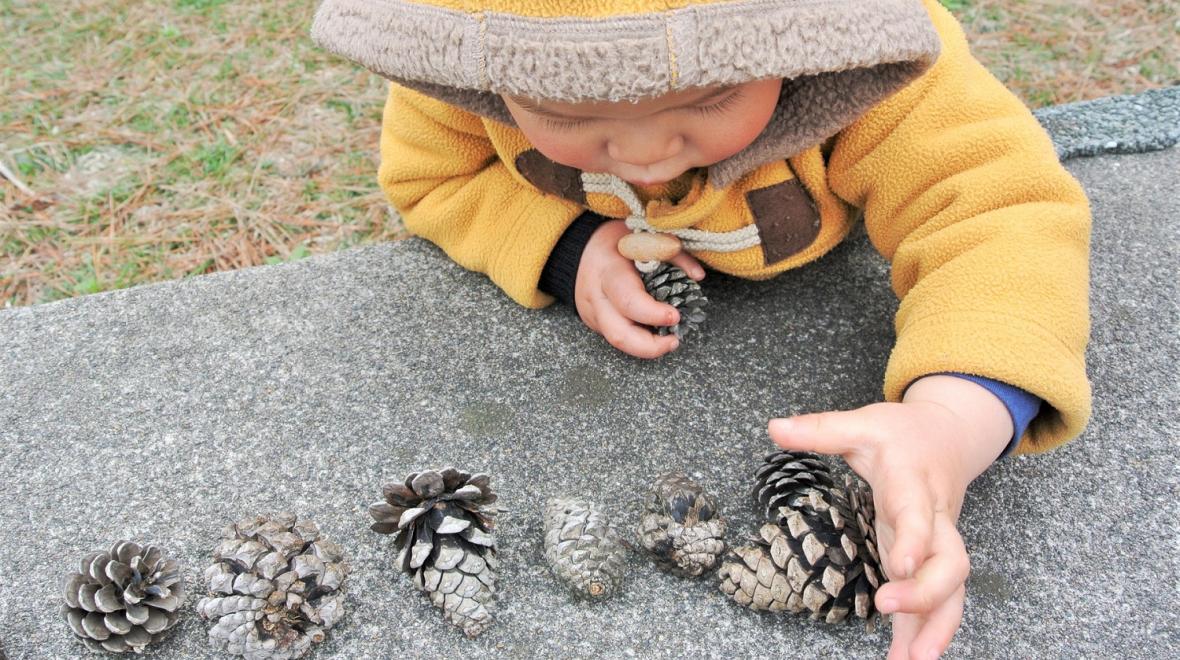Young child in yellow coat lining up pine cones in a row nature scavenger hunt list fun