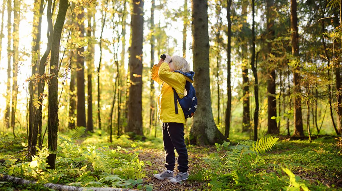 kid with a backpack wearing a yellow raincoat holding binoculars to his face surrounded by bright green and yellow autumnal trees