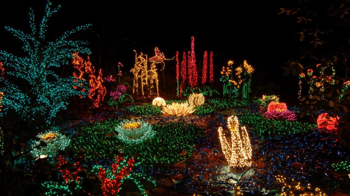 Lighted garden display at Bellevue Botanical Garden’s Garden d’Lights winter light show back for 2022